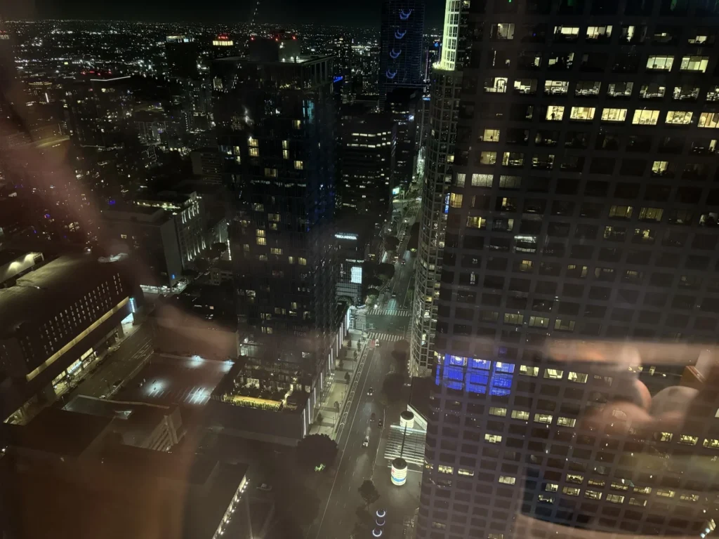 高層階の客室から見たDowntown LA。ホテルに戻ってからも旅行気分が続きました。