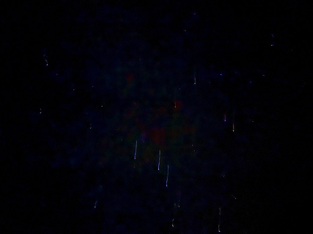 グランドキャニオンの夜空で撮影した星と流れ星