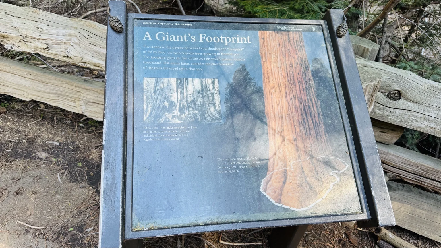 セコイア国立公園にある巨大セコイアの根元の大きさを示すA Giant's Footprintの解説板
