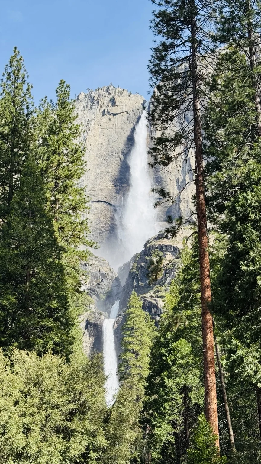 木々の間から見える3月末のYosemite Falls