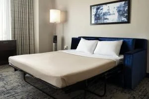 Residence Inn Los Angeles L.A. LIVEのソファベッドがある客室